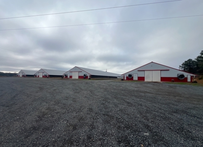 10 House Poultry Farm For Sale in North Louisiana - image 3