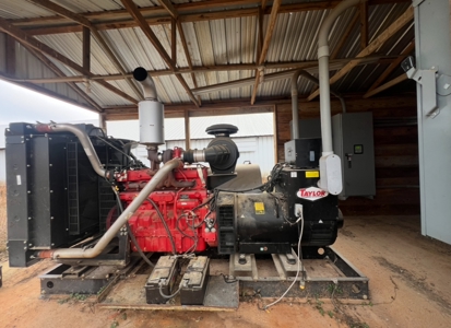 10 House Poultry Farm For Sale in North Louisiana - image 27