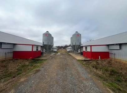 10 House Poultry Farm For Sale in North Louisiana - image 4
