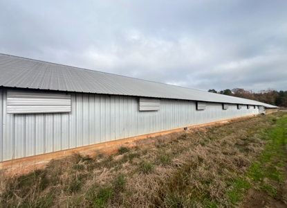 10 House Poultry Farm For Sale in North Louisiana - image 13