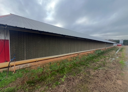 10 House Poultry Farm For Sale in North Louisiana - image 15