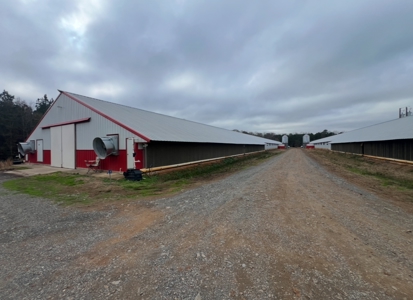 10 House Poultry Farm For Sale in North Louisiana - image 14
