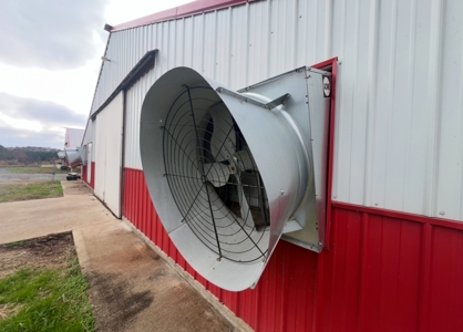 10 House Poultry Farm For Sale in North Louisiana - image 10