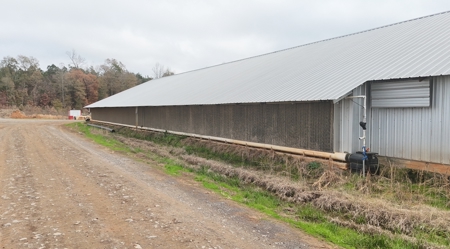 10 House Poultry Farm For Sale in North Louisiana - image 43