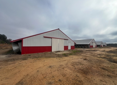 10 House Poultry Farm For Sale in North Louisiana - image 8