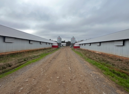 10 House Poultry Farm For Sale in North Louisiana - image 12