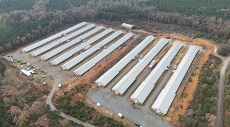 10 House Poultry Farm For Sale in North Louisiana - image 39