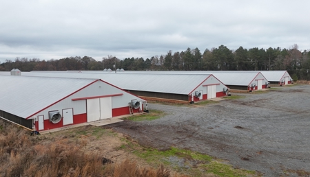 10 House Poultry Farm For Sale in North Louisiana - image 44