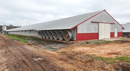 10 House Poultry Farm For Sale in North Louisiana - image 41
