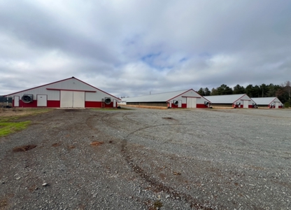 10 House Poultry Farm For Sale in North Louisiana - image 9