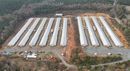 10 House Poultry Farm For Sale in North Louisiana - image 38