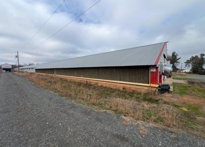 10 House Poultry Farm For Sale in North Louisiana - image 11