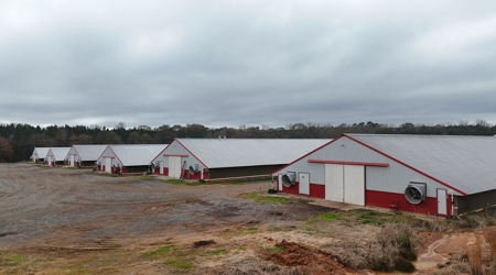 10 House Poultry Farm For Sale in North Louisiana - image 2