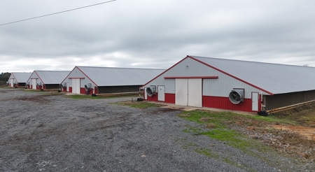10 House Poultry Farm For Sale in North Louisiana - image 1