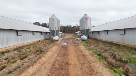 10 House Poultry Farm For Sale in North Louisiana - image 42