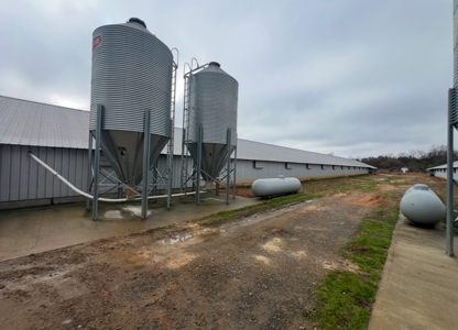 10 House Poultry Farm For Sale in North Louisiana - image 6