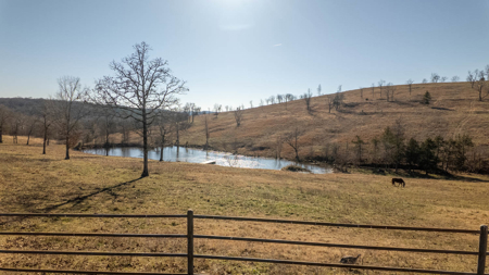 118 Acres + Spacious Home in the Missouri Ozarks - image 40