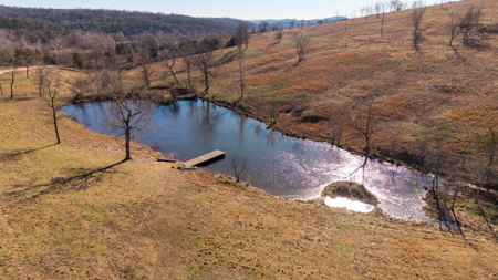 118 Acres + Spacious Home in the Missouri Ozarks - image 33
