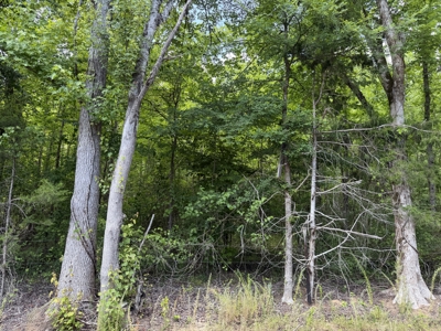 Land For Sale In Tn, 5.64 Acres+/- In Mcnairy County, Tn - image 15