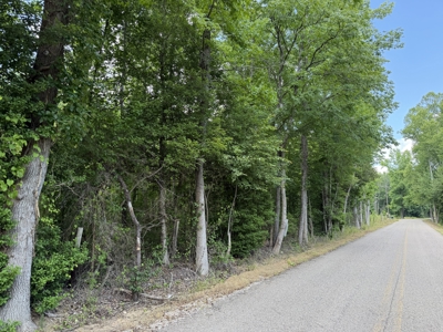 Land For Sale In Tn, 5.64 Acres+/- In Mcnairy County, Tn - image 9