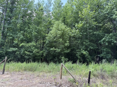 Land For Sale In Tn, 5.64 Acres+/- In Mcnairy County, Tn - image 13
