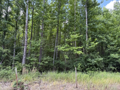 Land For Sale In Tn, 5.64 Acres+/- In Mcnairy County, Tn - image 17