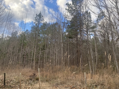 Land For Sale In Tn, 5.64 Acres+/- In Mcnairy County, Tn - image 7