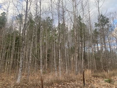 Land For Sale In Tn, 5.64 Acres+/- In Mcnairy County, Tn - image 6