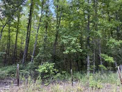 Land For Sale In Tn, 5.64 Acres+/- In Mcnairy County, Tn - image 16