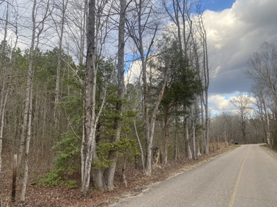 Land For Sale In Tn, 5.64 Acres+/- In Mcnairy County, Tn - image 4