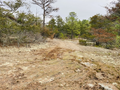Off-Grid Cabin And Acreage For Sale In North Central Arkansas - image 14