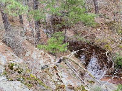 Off-Grid Cabin And Acreage For Sale In North Central Arkansas - image 3