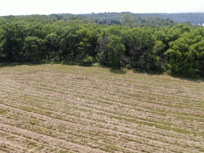 Land For Sale-Rochester, Mn Near Mayo Clinic & Lake Zumbro - image 25