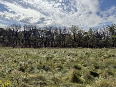 Land For Sale-Rochester, Mn Near Mayo Clinic & Lake Zumbro - image 34