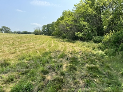 Land For Sale-Rochester, Mn Near Mayo Clinic & Lake Zumbro - image 16