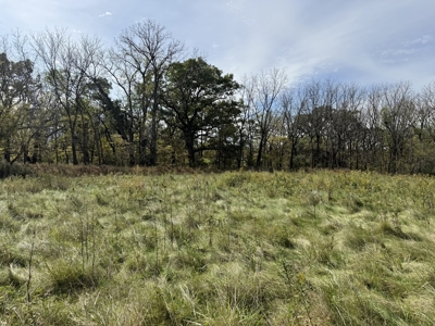 Land For Sale-Rochester, Mn Near Mayo Clinic & Lake Zumbro - image 37