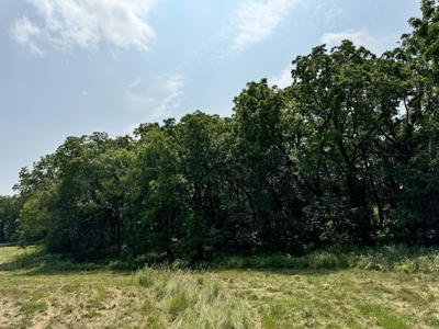 Land For Sale-Rochester, Mn Near Mayo Clinic & Lake Zumbro - image 13