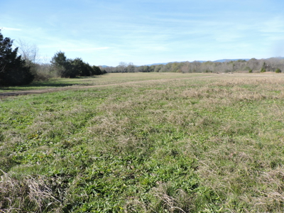 Investment Property For Sale – Waldron, Arkansas (Scott County) - image 5