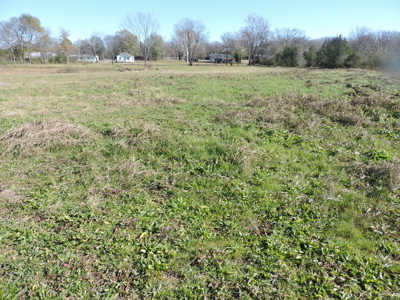 Investment Property For Sale – Waldron, Arkansas (Scott County) - image 4