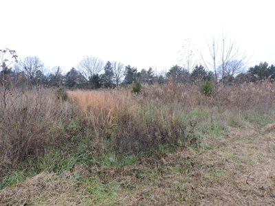 15 Acres of Land for Sale w/ MOUNTAIN VIEWS - image 4