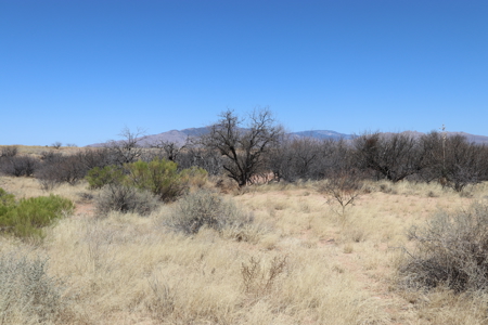 19.93 ACRES of vacant land for sale in Benson, AZ - image 3