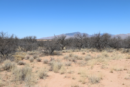 19.93 ACRES of vacant land for sale in Benson, AZ - image 12