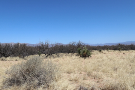 19.93 ACRES of vacant land for sale in Benson, AZ - image 8