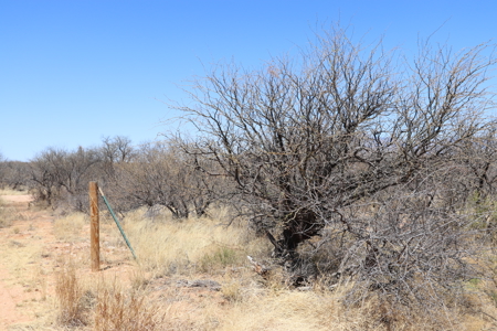 19.93 ACRES of vacant land for sale in Benson, AZ - image 10