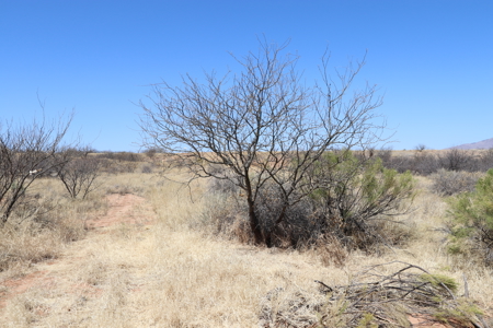 9.93 ACRES of vacant land for sale in Benson, AZ. - image 5