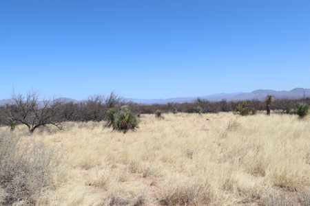 9.93 ACRES of vacant land for sale in Benson, AZ. - image 7