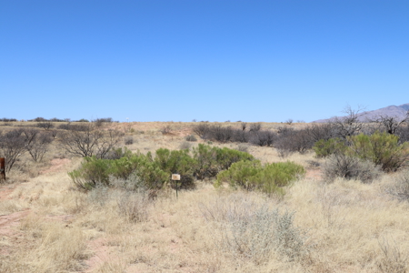 9.93 ACRES of vacant land for sale in Benson, AZ. - image 4
