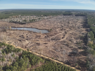 Cleared Land W/ Pond W/ Road in Calhoun County, Arkansas for sale - image 8