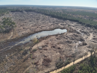 Cleared Land W/ Pond W/ Road in Calhoun County, Arkansas for sale - image 1