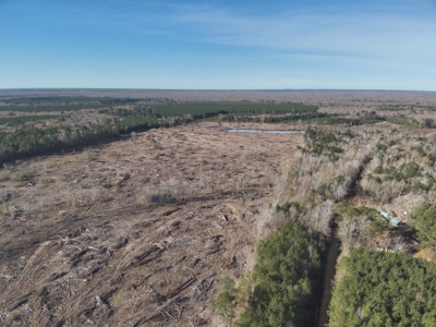 Cleared Land W/ Pond W/ Road in Calhoun County, Arkansas for sale - image 6